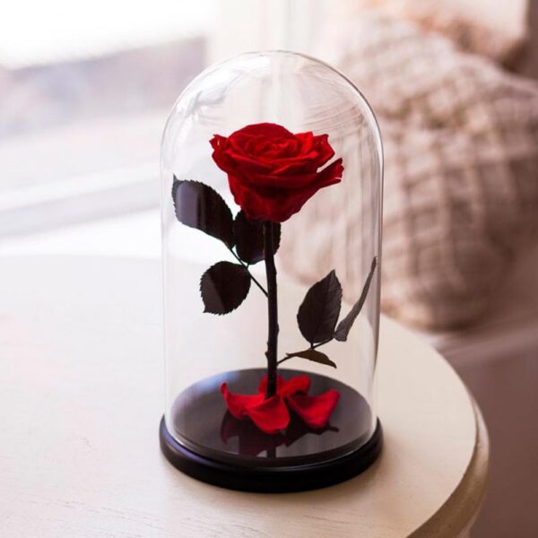Ewige Rosen im Glas