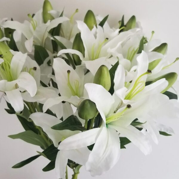 Weiße Lilien (10 Stück)